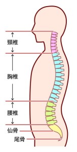 onosei-kubi