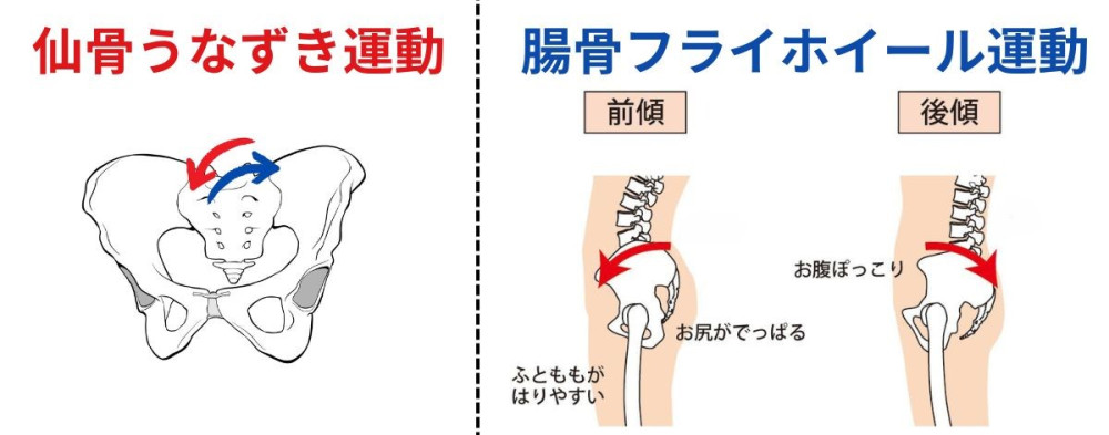 仙骨揚水ポンプ　うなずき運動　フライホイール運動